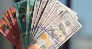 Santo Domingo concentra cerca del 50% de las entidades cambiarias del país