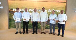 Banreservas destina RD$12,000 millones para financiar producción de arroz 2026-2027